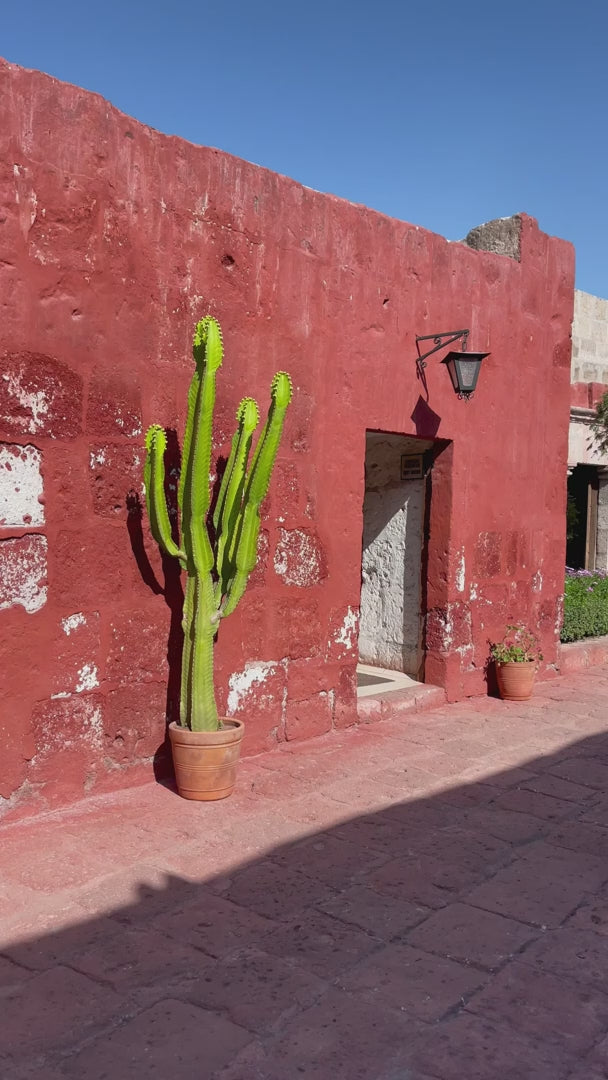 "VIENNA" Seiden-Wickelkleid Midi in LUCKY LILACS