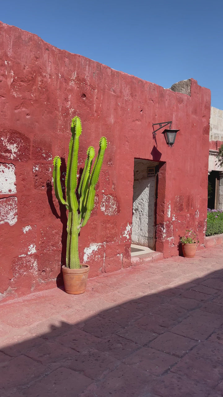 „VIENNA“ Seiden-Wickelkleid Midi PAISLEY